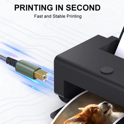 10FT Printer USB Cable