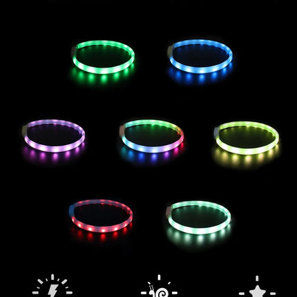 USB Rechargeable LED Dog Collar