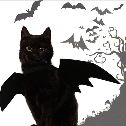 Bat Wing Pet Costume