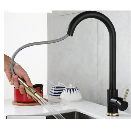 Flexible Pull-Out Kitchen Faucet