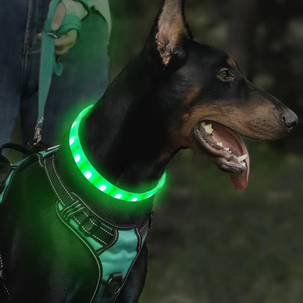 USB Rechargeable LED Dog Collar