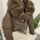 S / Brown zidiao