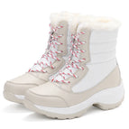 White / 36
