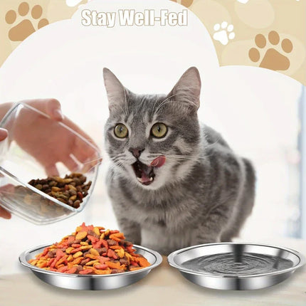 Stainless Steel Pet Bowl Set