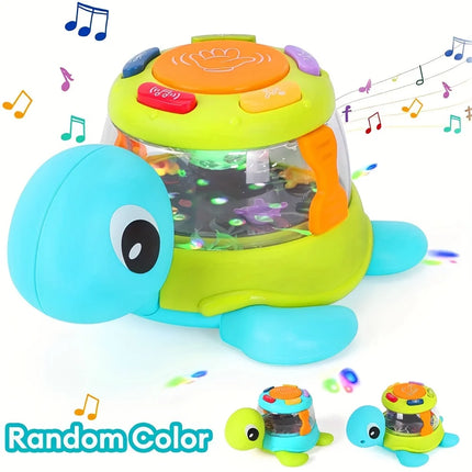 Kids' Musical Turtle and Crab Drum Toy