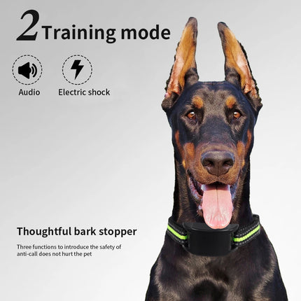 Automatic Anti-Bark Collar