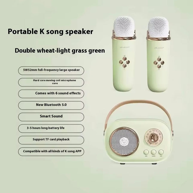 Portable Karaoke Bluetooth Speaker