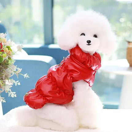 Warm Dog Coat