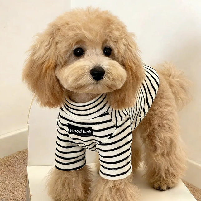 Striped Thermal Dog Sweater