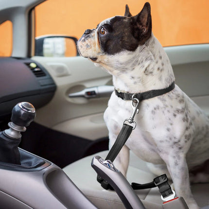 Dog Car Safety Belt