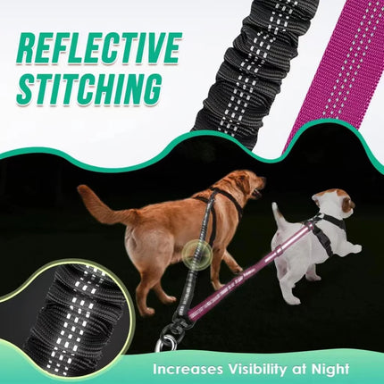 Dual Dog Leash Attachment