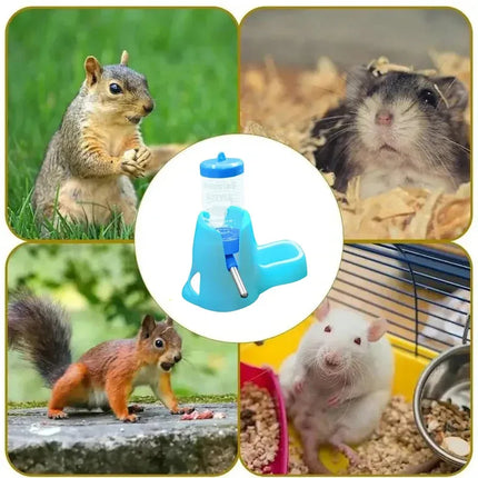 Small Animal Water Feeder