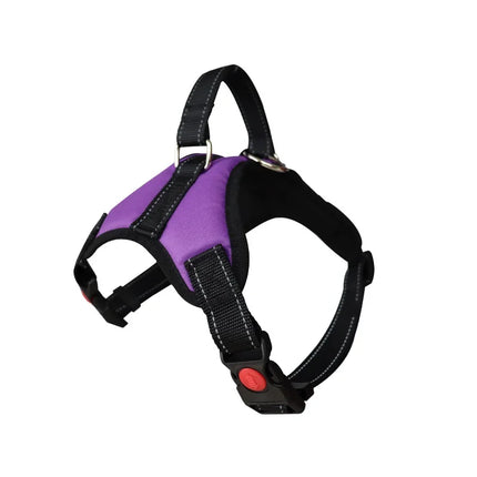 Adjustable Dog Harness