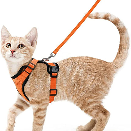 Soft Cat Harness Set
