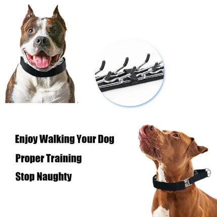Dog Training Collar