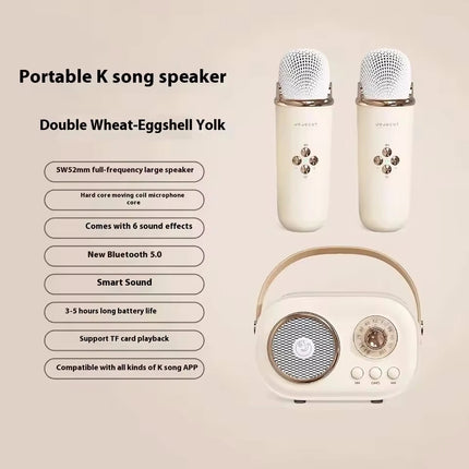 Portable Karaoke Bluetooth Speaker