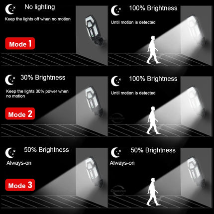 2000W Outdoor Solar Floodlight