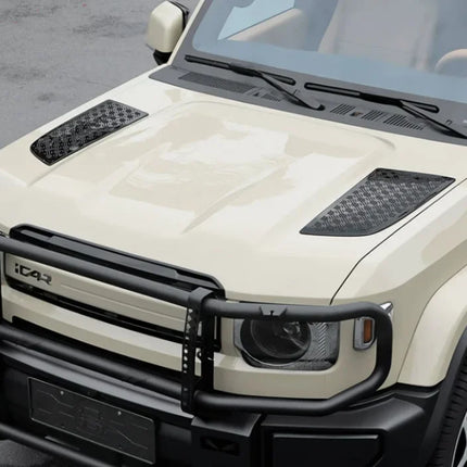 Car Hood Decorative Cover
