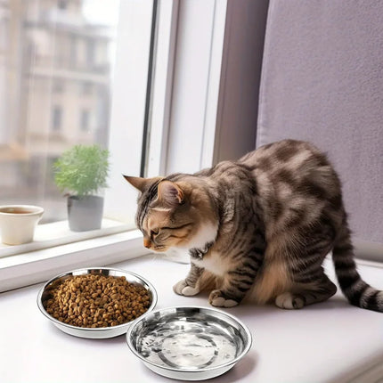 Stainless Steel Pet Bowl Set