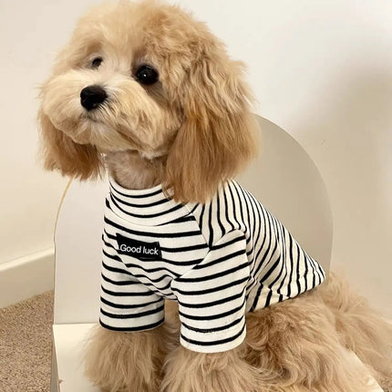 Striped Thermal Dog Sweater