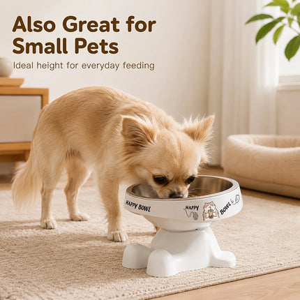 Elevated Pet Feeding Bowl