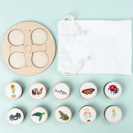 Wooden Life Cycle Sorting Board Montessori Science Learning Set