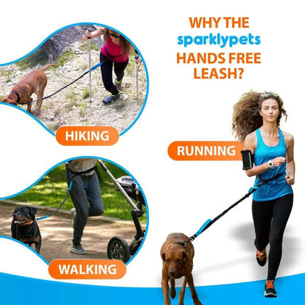 Double Elastic Reflective Dog Leash