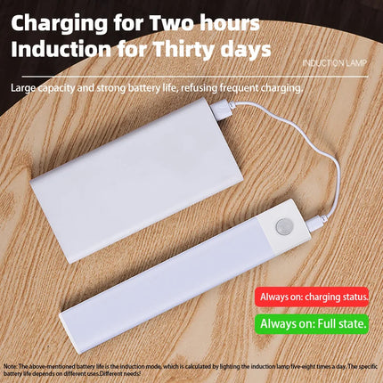 USB Rechargeable Motion Sensor LED Night Light