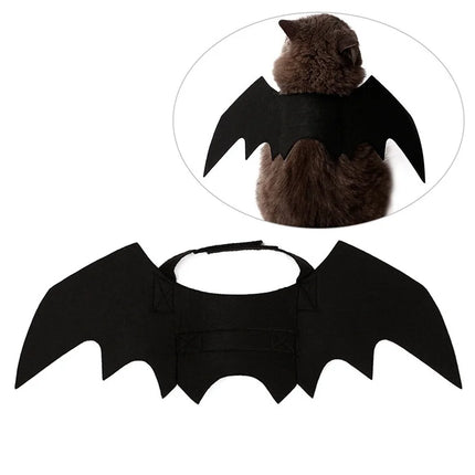 Bat Wing Pet Costume