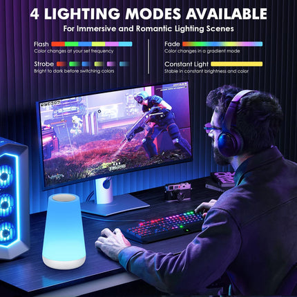 13-Color LED Night Lamp