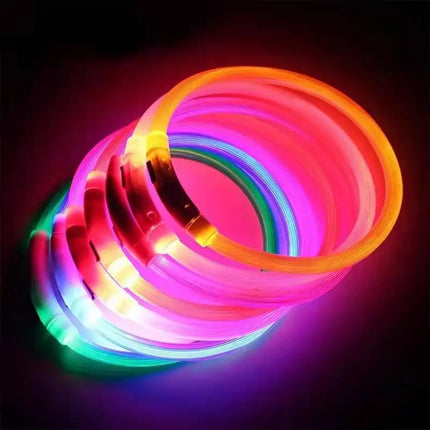 LED Dog Collar