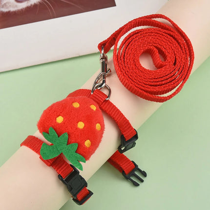 Small Pet Harness Set