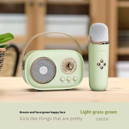 Portable Karaoke Bluetooth Speaker