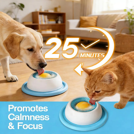 Slow Feeding Dog Bowl