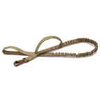 Only brown leash