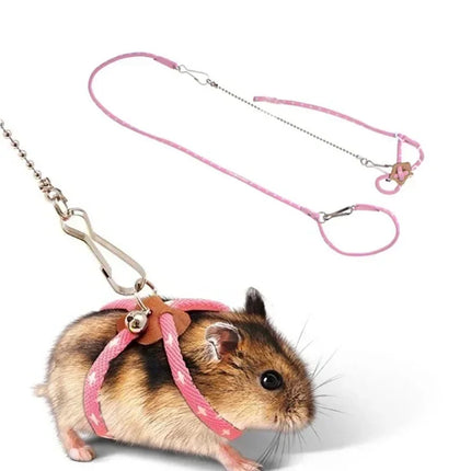 Small Pet Leash