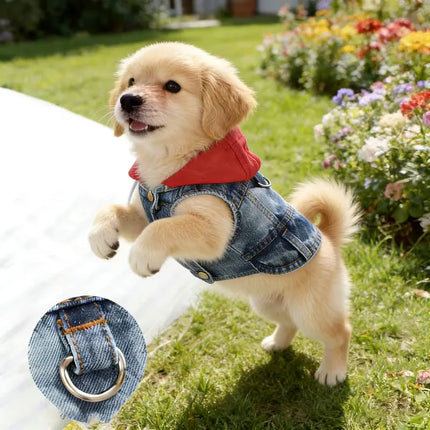 Denim Puppy Hoodie Jacket