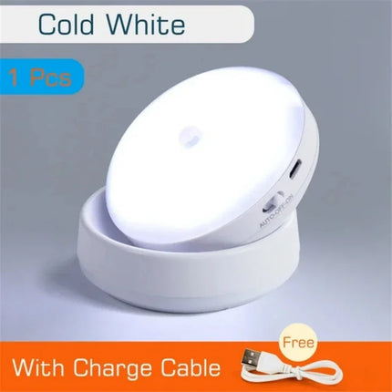 USB Rechargeable Motion Sensor Night Light