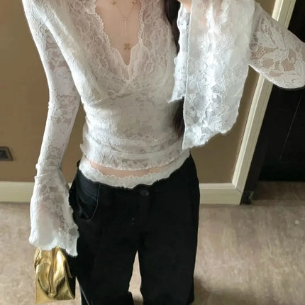 Women's Sheer Lace V-Neck Top