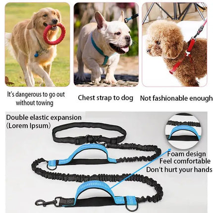 Double Elastic Reflective Dog Leash