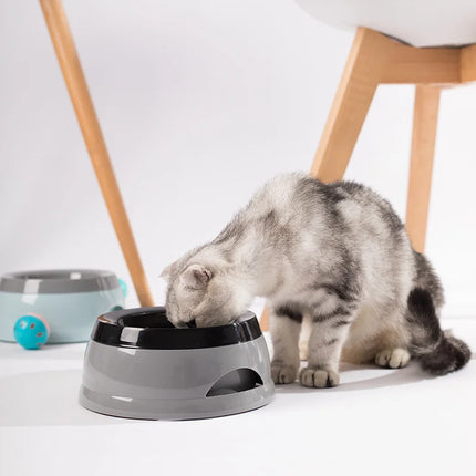 No-Spill Pet Water Bowl