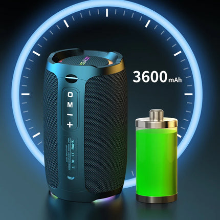 Portable 20W Bluetooth Speaker