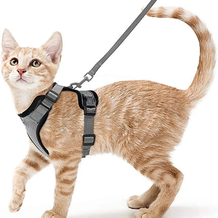 Soft Cat Harness Set
