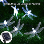 Cold White / 5M20LED