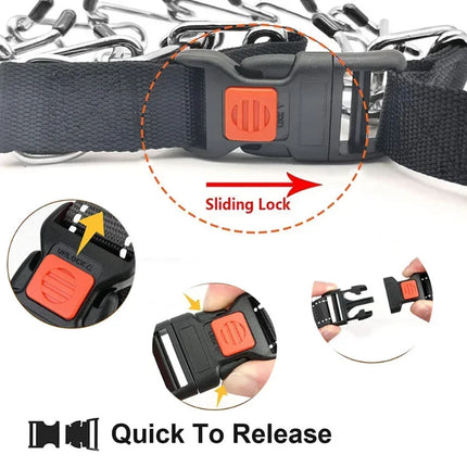 Dog Training Collar