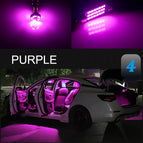 Purple / J11 (2014-2023) 11P