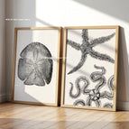 WO2264-2pcs / 30x40cm No Frame