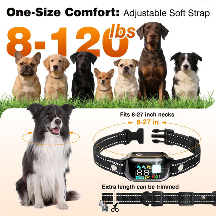 Automatic Dog Training Collar