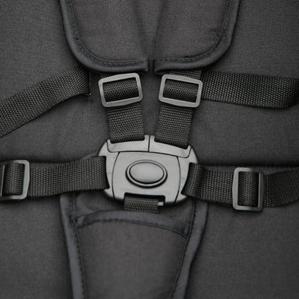 Multi-Functional Baby and Pet Stroller