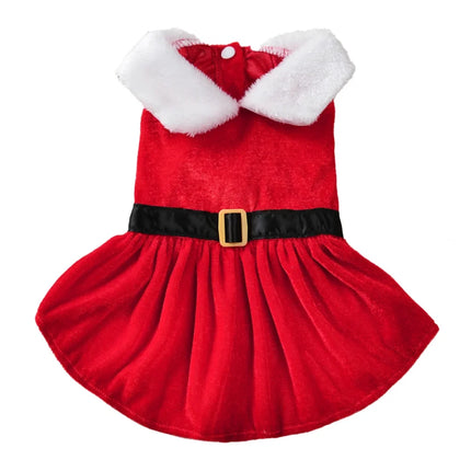 Santa Pet Costume